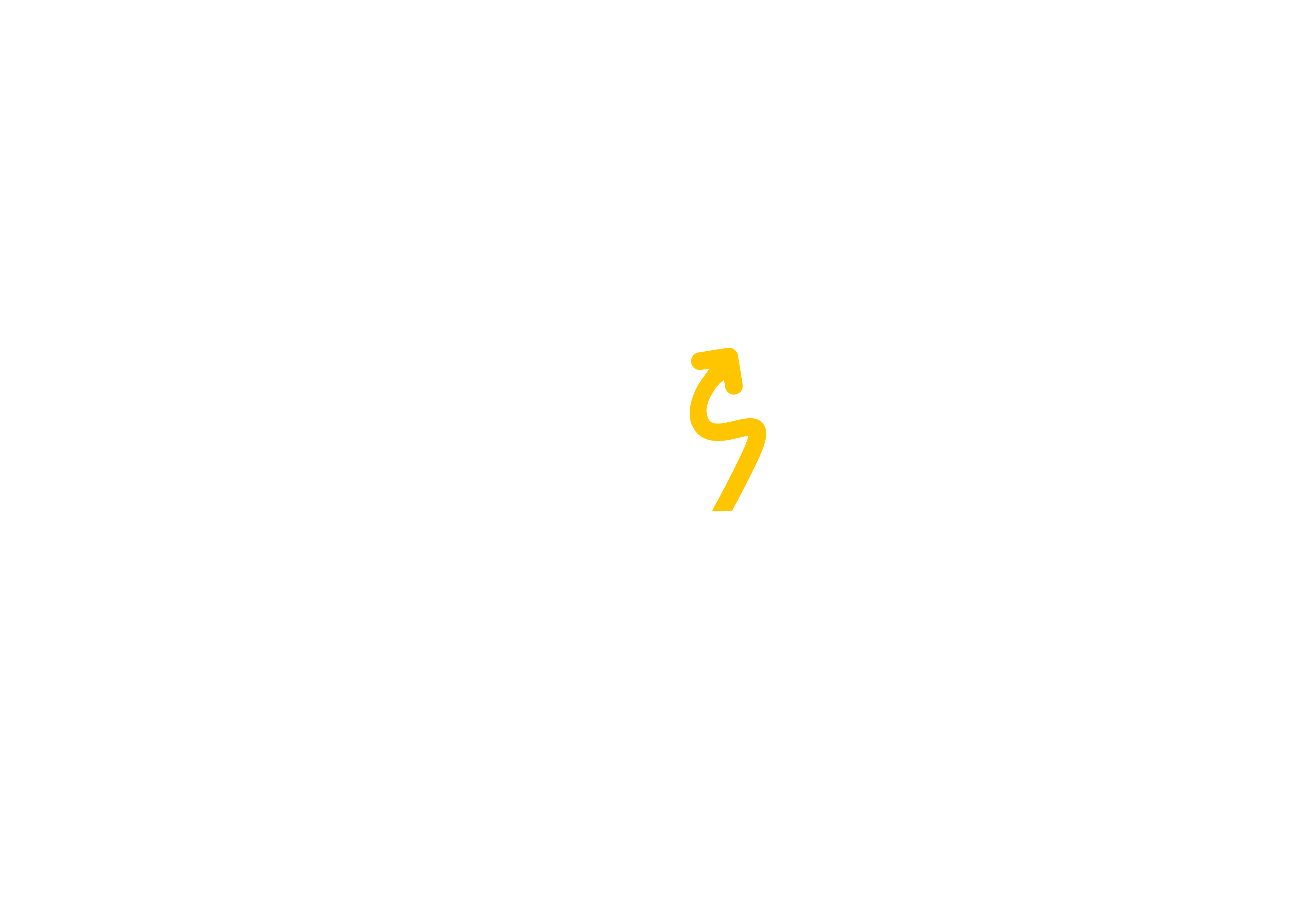חתול פיננסי